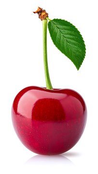A shiny, ripe, red fruit with a green stem and a single leaf