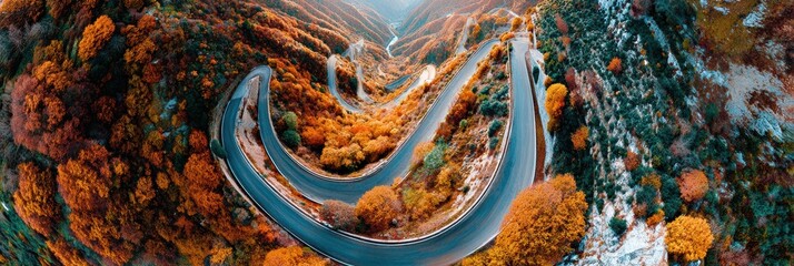 View of a winding road that cuts through an autumn forest filled with vibrant orange and yellow trees, highlighting the beauty of fall colors in nature.