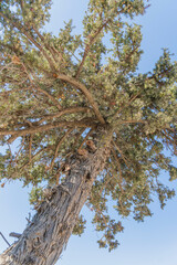 Kos_Aug 2025 (1584).ARW