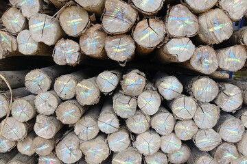 Stack of Marked Wooden Logs for Industrial Use"
A neatly arranged stack of wooden logs with colorful chalk markings on the cross-sections, used for sorting or identification in lumber processing .