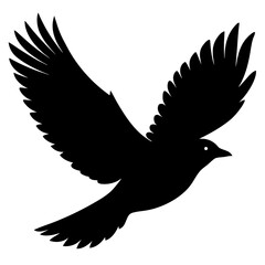 Obraz premium Silhouette of a bird in flight