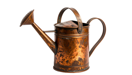 Aged copper watering can with a long spout, loop handle, and dark mottled finish