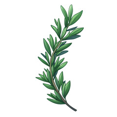 Fresh rosemary herb for culinary use nature food photography minimalist close-up