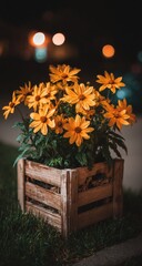 Yellow flowers bloom in a rustic wooden planter at dusk with bokeh lights.