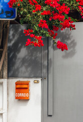 Red "correio" mailbox  under the bougainvillea.