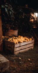 Wooden crate overflowing with yellow flowers sits on a lawn at night.