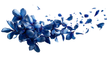 Scattered blue flower petals drifting across a white background, cut out transparent