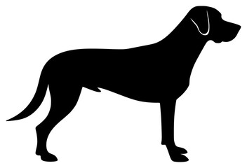 dog on a transparent background, black, dog, image, silhouette 
