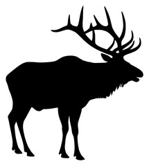 Fototapeta premium elk on a transparent background, antler, black, deer, elk, horn, picture, silhouette, stand 
