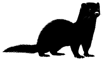 ferret on a transparent background, black, cat, image, mouth, silhouette, tail 
