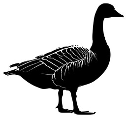 goose on a transparent background, bird, black, drawing, duck, goose, picture, silhouette, stand, water 