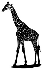 Naklejka premium giraffe on a transparent background, black, giraffe, silhouette, stand 