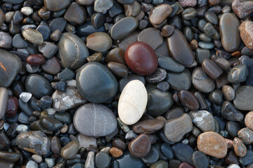 A collection of wet, smooth, multicolored sea stones. The concept of tranquility and serenity serves as a textured backdrop for a web banner page template design