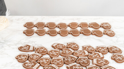 Beautifully Decorated Mitten Cookies with Royal Icing Designs