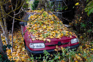 Nicht für die Ewigkeit - Buntes Herbstlaub auf einem PKW