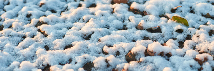 Early winter snow dusting over autumn leaves on a sunlit ground.