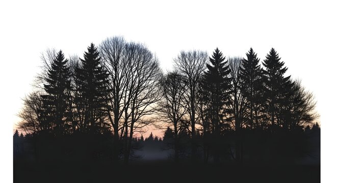 Silhouetted forest trees against a soft sunset sky, featuring bare branches and evergreen pines, creating a moody, atmospheric scene. - Powered by Adobe