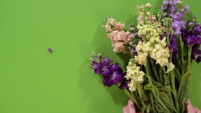 Stock Flower Arrangement Centered on Green Background