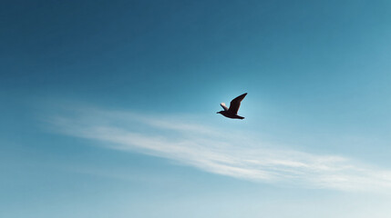 Fototapeta premium Seagull soars freely against a vast, serene blue sky with wisps of clouds. Symbolizing freedom, hope, or a fresh start. Perfect for travel, nature, or aspirational themes.