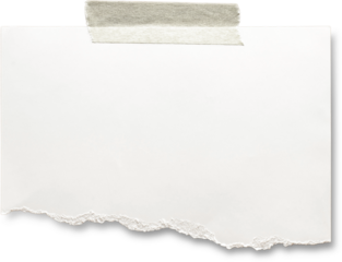 Torn paper edges on transparent background. Torn sheets of paper. Torn paper strips set. Sticky notes, shreds of notebook pages. Vector illustration realistic torn paper edges