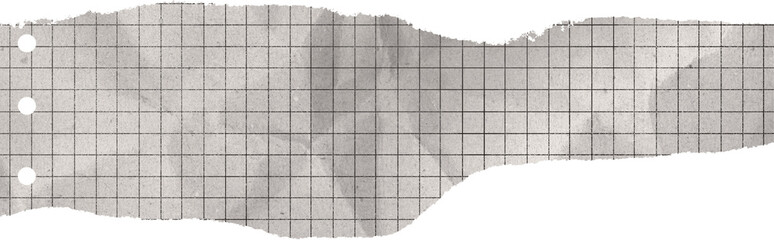 Torn paper edges on transparent background. Torn sheets of paper. Torn paper strips set. Sticky notes, shreds of notebook pages. Vector illustration realistic torn paper edges © Vectrologist