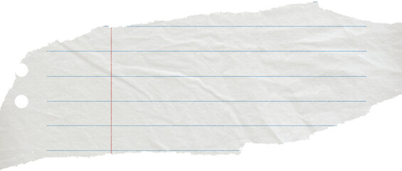 Torn paper edges on transparent background. Torn sheets of paper. Torn paper strips set. Sticky notes, shreds of notebook pages. Vector illustration realistic torn paper edges