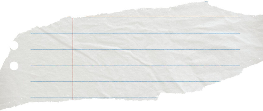 Torn paper edges on transparent background. Torn sheets of paper. Torn paper strips set. Sticky notes, shreds of notebook pages. Vector illustration realistic torn paper edges