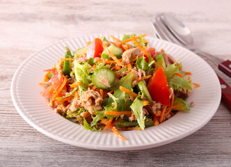 fresh Mixed vegetable tuna salad on plate
