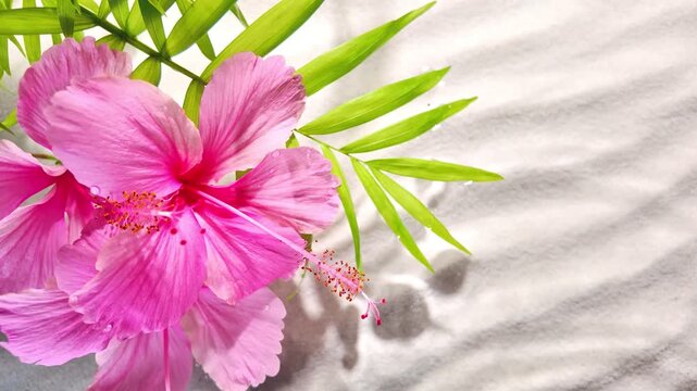 hibiscus flowers, palm leaves and drops on water surface, casting delicate shadows on sand, offering chic spa aesthetic captured, slow motion