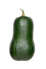 Fresh Whole Green Squash on Transparent Background Isolated Natural Vegetable Image