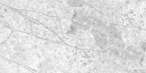 Light gray grunge seamless marble texture with soft white veining and subtle crack, realistic natural stone surface, smooth polished background. gray painted cement wall texture. white marble texture.
