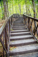 Fototapeta premium Wooden paths and stairs with handrails in a meadow among green trees. Architecture of World tourism.