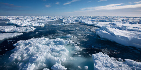 Arctic Ice Sheet Fracture Glacial Landscape with Deep Crevasses and a Stark Icy Horizon Under a Chilly Overcast Sky