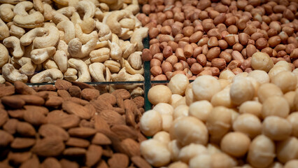 A selection of different nuts including almonds, cashews, peanuts, and macadamias, arranged in sections. Ideal for illustrating diversity in nutrition, healthy lifestyle choices, and natural food.