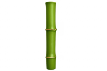 Green bamboo stalk with nodes on transparent background