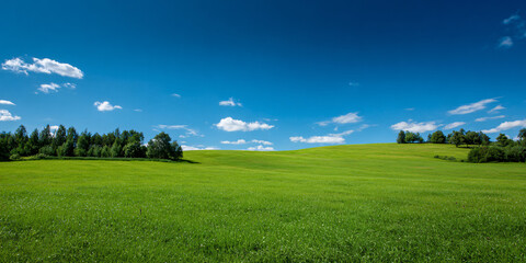 Fototapeta premium A vibrant expanse of lush emerald meadow stretches towards a distant horizon under a brilliant canopy of clear cerulean heavens