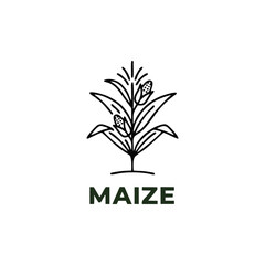 Maize Corn Stalk Simple Line Art Icon © khawar