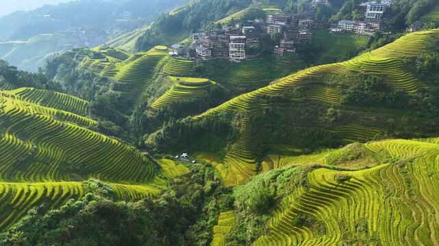 Aerial view of Longsheng Rice Terraces in the Guangxi Region, China