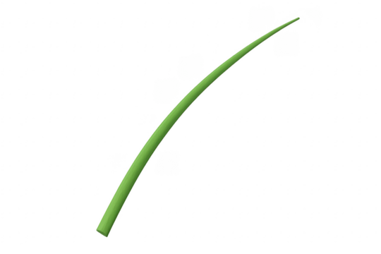 Green grass blade stem isolated on transparent background