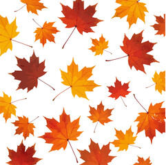 Autumn Maple Leaves in Warm Shades of Red and Yellow