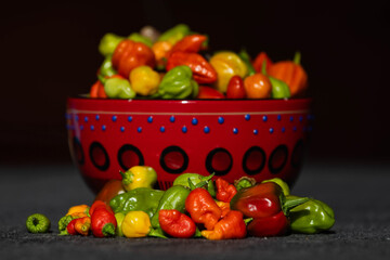 verschiedene Chilis in einer Schüssel vor schwarzem Hintergrund
