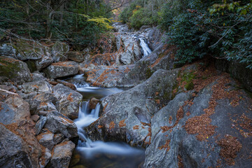 waterfall in the forest