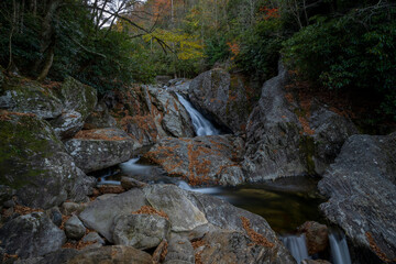 waterfall in the forest