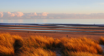 Scenic coastal landscape with red-brown hills, wild grass, and dramatic parallel clouds
