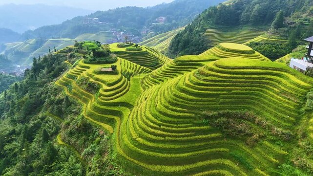 Aerial view of Longsheng Rice Terraces in the Guangxi Region, China