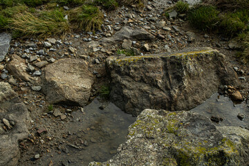 Wet rocks and soil texture in natural landscape