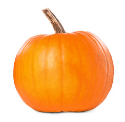 One whole ripe pumpkin isolated on white
