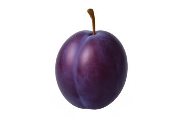 Fresh ripe purple plum fruit with transparent background