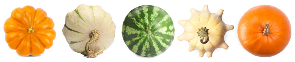 Fresh pumpkins, watermelon and pattypan squash isolated on white, set. Vegetables of gourd family