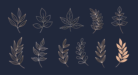 Decorative botanical elements for elegant autumnal designs and invitations.